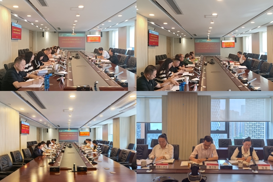会议现场.jpg